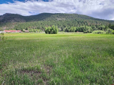 30081 W Hwy 160, South Fork, CO 81154 - photo 6