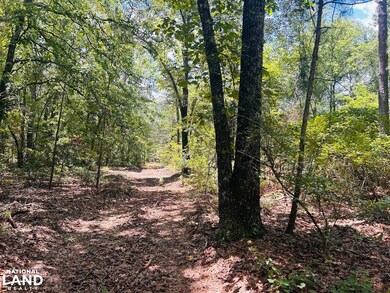 0 Moores Chapel Rd unit 25800784, Mauk, GA 31058 - photo 3