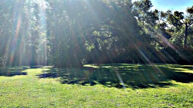 33 Mill Hollow Dr, Crawfordville, FL 32327 - photo 4