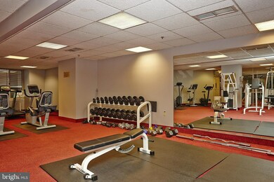 The Williamsburg unit 624, Arlington, VA 22201 - photo 4