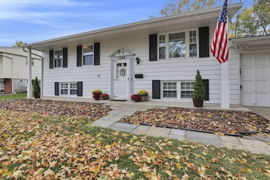 8-web-or-mls-011A8477