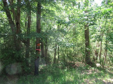 361 Noel, Cedar Point, TX 77351 - photo 3