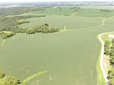 tbd 70th St SE, Viola, MN 55934 - photo 7