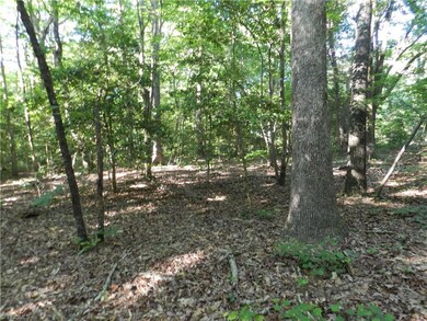 0 Bethel Lucas Rd, Asheboro, NC 27205 - photo 3