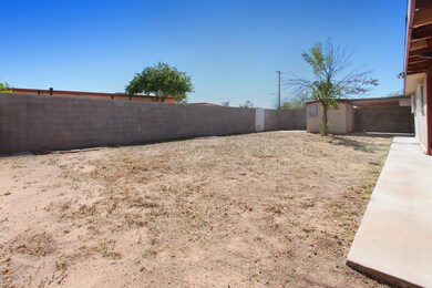 Large Back Yard