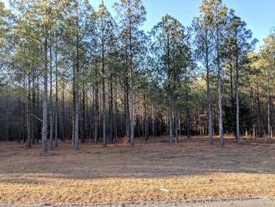 2575 River Bluffs Dr, Jasper, TN 37347 - photo 3