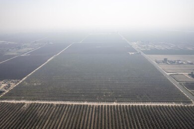 0 S Marks Ave unit 637440, Caruthers, CA 93609 - photo 5