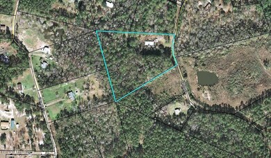 2840 Spring Dr, Middleburg, FL 32068 - photo 2