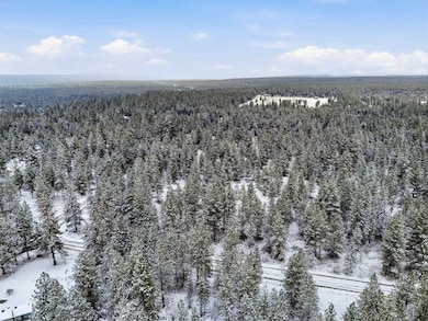 NKA Unassigned Rd, Deer Park, WA 99006 - photo 3