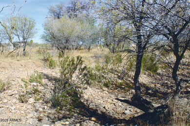 10 Acres E Roadrunner Lot E Ln unit D, Pearce, AZ 85625 - photo 4