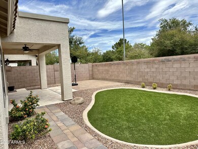 Easy-care Backyard