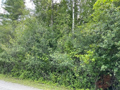 Road View2