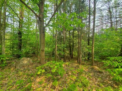 45 Clough Pond Rd, Loudon, NH 03307 - photo 2