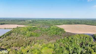 0 Daniel Glover Rd, Lonoke, AR 72086 - photo 7