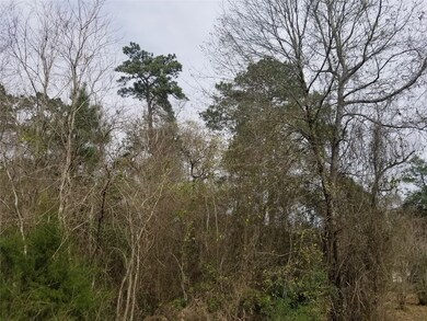 00 Briarcliff St, Conroe, TX 77385 - photo 5