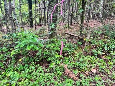 0 Prigmore Ridge Rd unit 1310631, Decatur, TN 37322 - photo 4