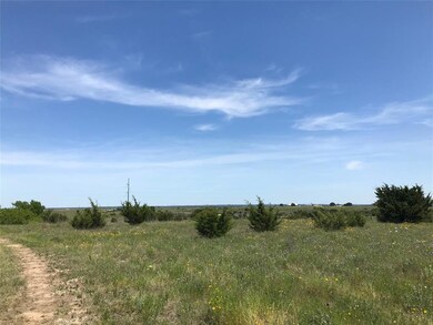 1043 Kingsley Ct, Weatherford, TX 76087 - photo 4