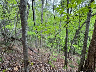 IMG_3662