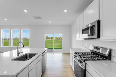 12217 Dodwell St, Huntley, IL 60142 - photo 2