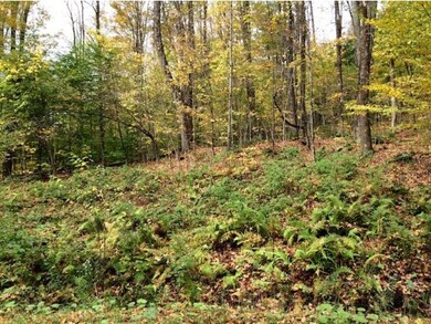 Lot 42 N Ryder Pond, Whitingham, VT 05361 - photo 3