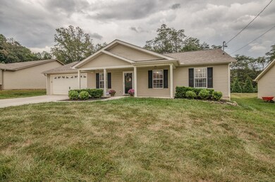 5023 Cattail Ln Corryton TN-large-001-8-