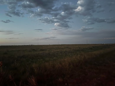 TBD Buggy Rd, Carpenter, WY 82054 - photo 3