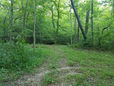 A view of the area you come to from the driveway.