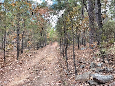 Unit 156 Rd, Moyers, OK 74523 - photo 6