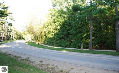 173 Ottawa, Elk Rapids, MI 49629 - photo 5