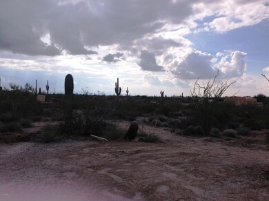 Vacant Land 2