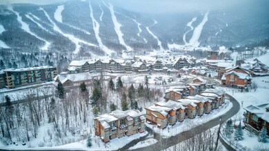 20 Sterling Ln unit 16, Stowe, VT 05672 - photo 4