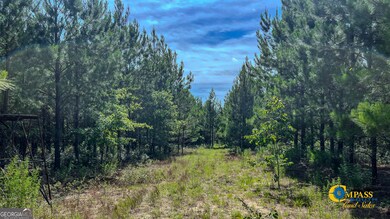 0 Montgomery Rd, Mauk, GA 31058 - photo 5