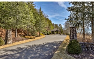 161 Old Toccoa Farm, Mineral Bluff, GA 30559 - photo 3