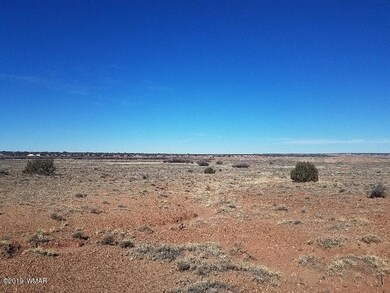 20190126_111811_resized