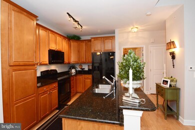 1513 Feral Dae Ln unit 7-303, Annapolis, MD 21409 - photo 7