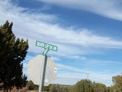 1780 Canyon Pl Show Low 008