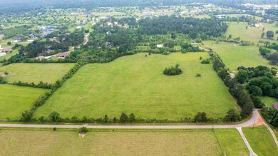 2811 Goodson Loop, Tomball, TX 77362 - photo 4