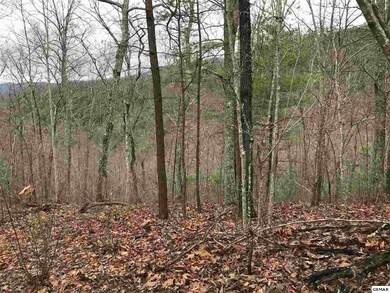 0 Lot 5-E Stackstone Rd, Sevierville, TN 37862 - photo 6