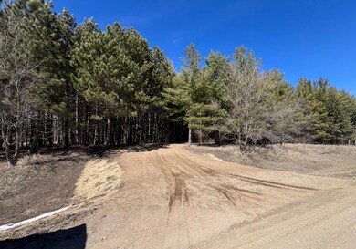 Lot 3 Country Ln SW, Holmes City Township, MN 56327 - photo 2