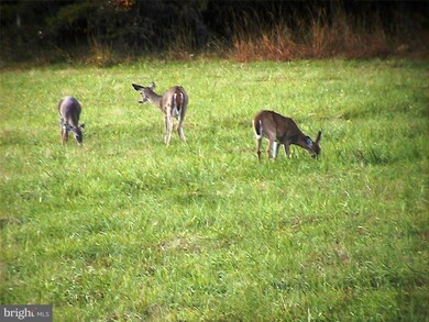 unlisted-address, Baker, WV 26801 - photo 7