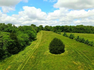 Photo_6553865_DJI_265_jpg_6146313_0_2021