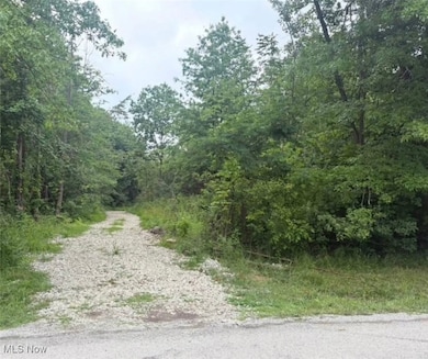 4853 Rockwell Rd, Ashtabula, OH 44004 - photo 4