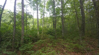 88 Boyd's Corner Rd, South Berwick, ME 03908 - photo 4