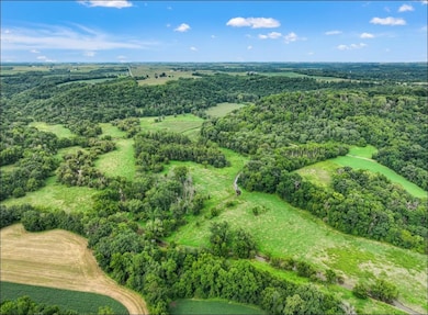 Xxx Dutch Hollow Rd, Potosi, WI 53820 - photo 5