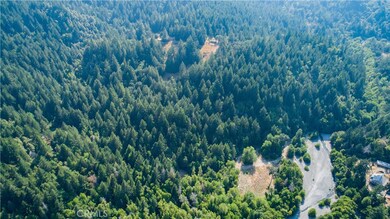 34621 Alderpoint Rd, Blocksburg, CA 95514 - photo 2