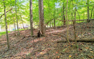 Additional View