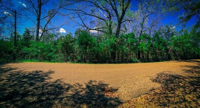 TBD Chestnut St, McComb, MS 39648 - photo 5