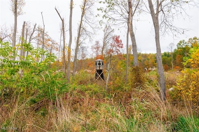 10524 Kleski Rd SE, Uhrichsville, OH 44683 - photo 5