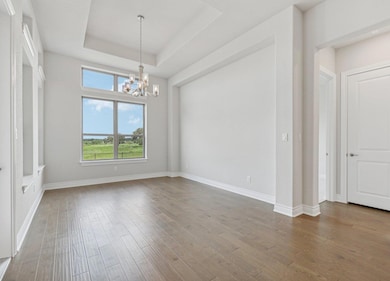 Spare room with a raised ceiling, dark wood-style