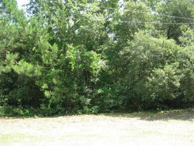 0 Chadwick Landing Dr SW, Shallotte, NC 28470 - photo 3